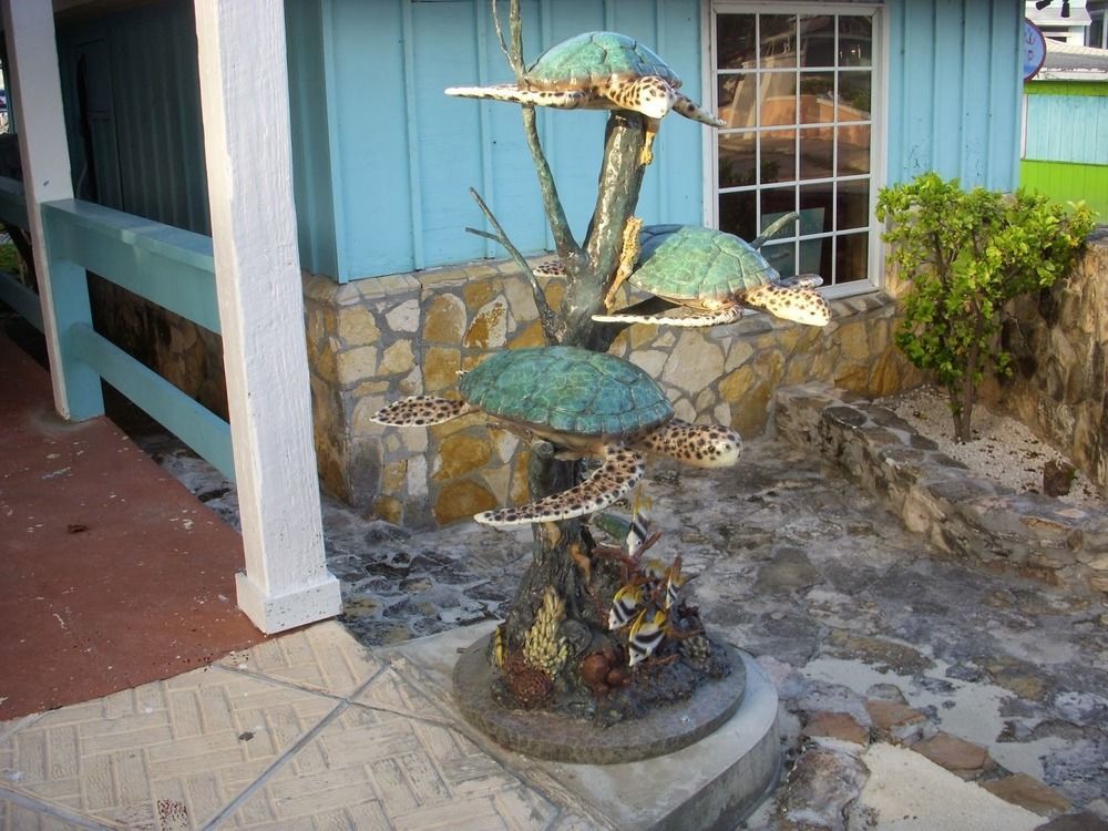 Two Turtles Inn George Town Exterior foto
